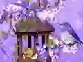 Xogo Wonderful Humming Bird Land Escape en liña