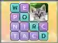 Xogo Word Search Pictures en liña