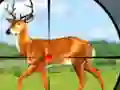 Xogo Wild Hunt Hunting Games 3D en liña