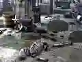 Xogo Friends Rescue From Skeleton en liña