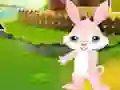 Xogo Find The Buddy Rabbit en liña