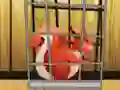 Xogo Rescue The Red Squirrel From Cage en liña