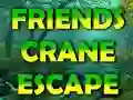Xogo Friends Crane Escape en liña