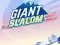 Xogo Giant Slalom en liña