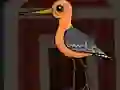 Xogo Cute Godwit Escape en liña