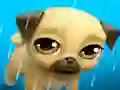 Xogo My Virtual Pet Louie the Pug en liña