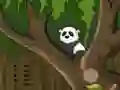 Xogo Panda Jungle Escape en liña