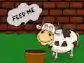 Xogo Find The Cow Feed en liña