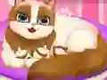 Xogo Cute Kitty Pregnant en liña