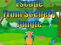 Xogo Escape from Scenery Jungle en liña
