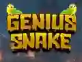 Xogo Genius Snake en liña