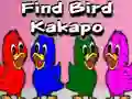 Xogo Find Bird Kakapo en liña