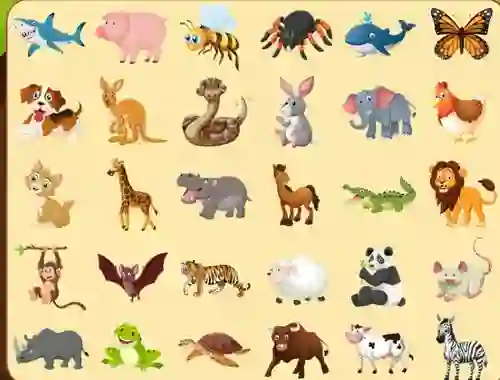 Xogo Discover Animals en liña
