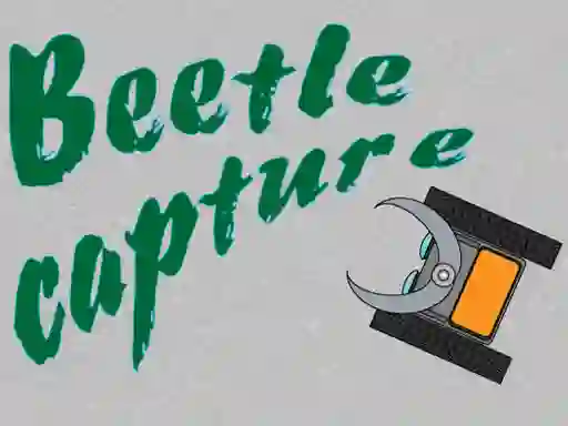 Xogo Beetle Capture en liña