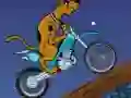 Xogo Scooby Doo Trail en liña