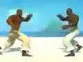 Xogo Capoeira fighter en liña