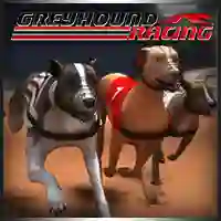 Xogo Greyhound Racing en liña