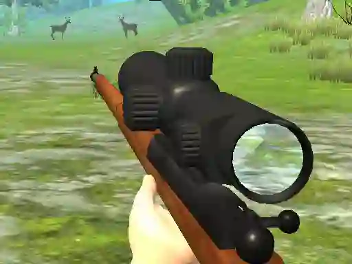 Xogo Hunter 3D en liña