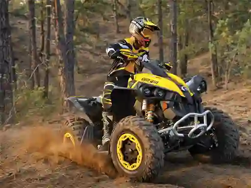 Xogo ATV Offroad Puzzle en liña