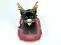 Xogo Pet Sledding en liña