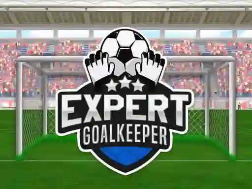 Xogo Expert Goalkeeper en liña