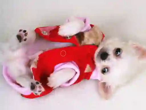 Xogo Lovely Puppy Slide en liña