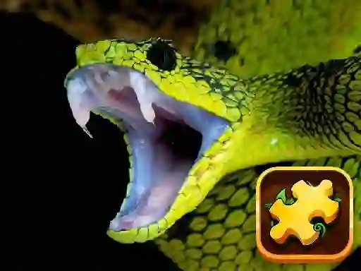Xogo Snake Puzzle Challenge en liña