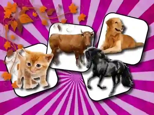 Xogo Domestic Animal Memory Challenge en liña