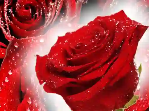 Xogo Red Roses en liña