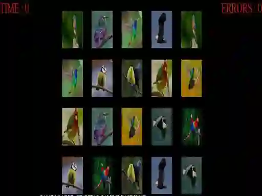 Xogo Memorize the birds en liña