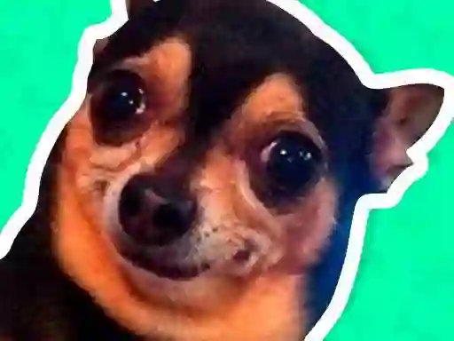 Xogo What meme dog are you ? en liña