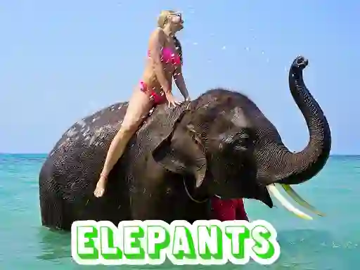 Xogo Elephants Puzzle en liña