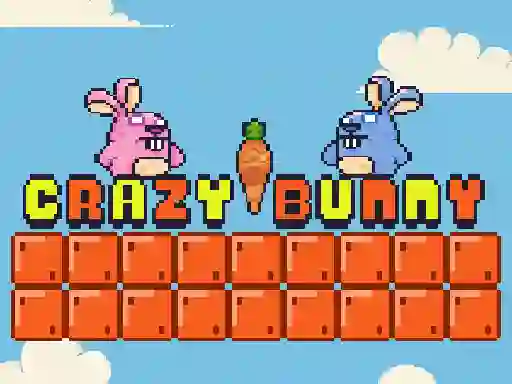 Xogo Crazy Bunny en liña