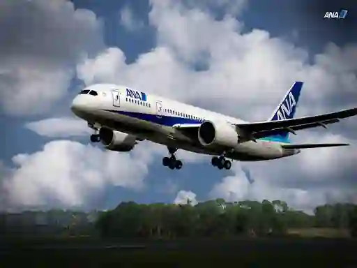 Xogo Boeing Dreamliner Puzzle en liña