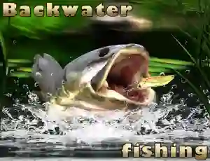 Xogo Backwater Fishing en liña