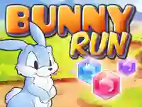 Xogo Bunny Run en liña