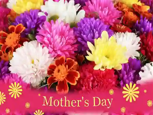 Xogo 2019 Mother's Day Puzzle en liña