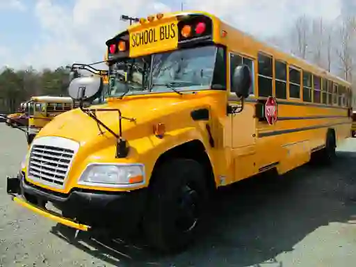 Xogo School Buses Puzzle en liña