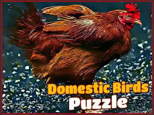 Xogo Domestic Birds Puzzle en liña