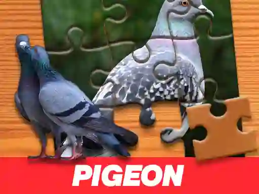 Xogo Pigeon Jigsaw Puzzle en liña