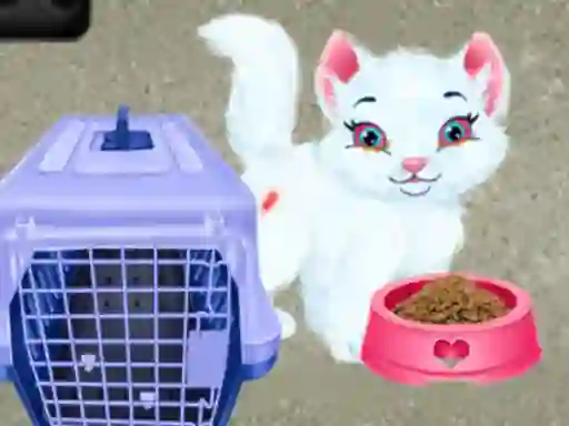 Xogo Baby Taylor Pet Care en liña