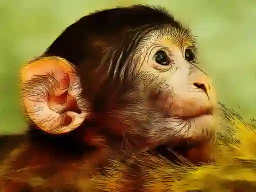 Xogo Funny Baby Monkey en liña