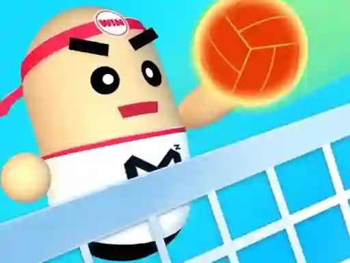 Xogo 3D Amazing VolleyBall en liña