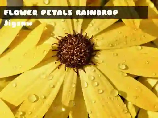 Xogo Flower Petals Raindrop Jigsaw en liña