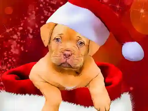 Xogo Christmas Dogs Styles en liña