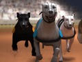 Xogo Galgos  en liña