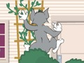 Xogo Tom Und Jerry: Wasserbomben Wahnsinn en liña