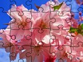Xogo Rompecabezas: Flores  en liña