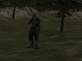 Xogo Axencia FPS: bosque  en liña