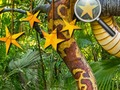 Xogo Estrelas selvadas escondidas  en liña